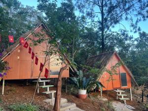 a couple of small houses in a forest at Homestay Vườn Cam in Kon Von Kla