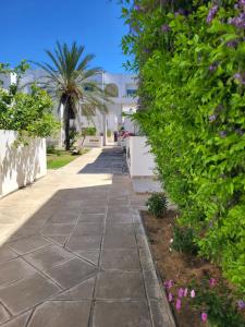 a sidewalk in front of a building with plants at Duplex el 3ebdelleyya en face tennis club la marsa in Tunis