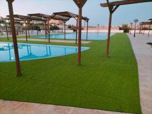 a swimming pool with green grass and umbrellas at ارضي جنينه قريه التجاريين in Dawwār ‘Abd Allāh
