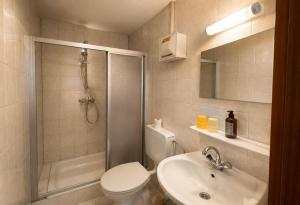 a bathroom with a shower and a toilet and a sink at Gasthaus Sternjak in Wunderstätten