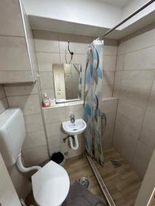 a small bathroom with a toilet and a sink at Studio nikola in Soko Banja