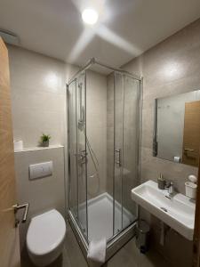 a bathroom with a shower and a toilet and a sink at Gaja in Križpolje