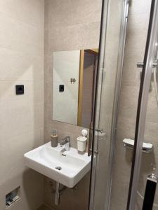 a bathroom with a sink and a mirror at Gaja in Križpolje