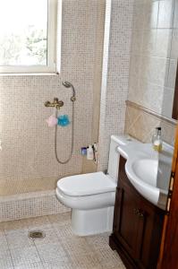 ein Bad mit einem WC, einem Waschbecken und einer Dusche in der Unterkunft Melpo Estate Kapandriti in Mikrokhórion