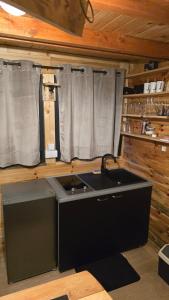 a kitchen with a stove and a sink in a cabin at Star Cottage in Bajina Bašta