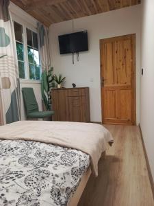 a bedroom with a bed and a television on the wall at Przystanek Natura in Radzie
