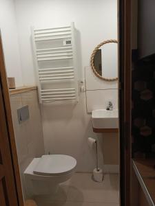 a small bathroom with a toilet and a sink at Przystanek Natura in Radzie +38 photos