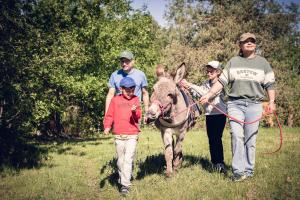 a group of people walking a donkey in a field at Cabane Cheverny in Le Controis En Sologne