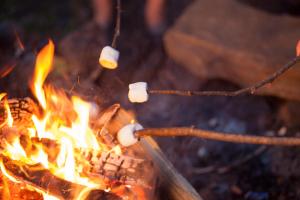 a close up of a fire with marshmallows on it at Cabane Cheverny in Le Controis En Sologne +24 photos