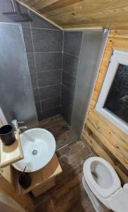 a small bathroom with a toilet and a sink at Star Cottage in Bajina Bašta
