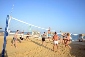 a group of people playing a game of volleyball on the beach at Pickalbatros White Beach Resort - Hurghada in Hurghada