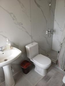 a bathroom with a white toilet and a sink at " UMAR " Guest house in Tong +28 photos