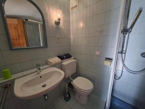 a bathroom with a toilet and a sink at Kleines Apartment in Pertitschach +5 photos