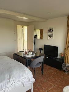 a bedroom with a bed and a desk and a television at De Veldeling in Hollandscheveld