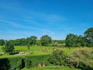 a green field with trees in the distance at Heeser Hof - Natururlaub direkt am Nationalpark Maasduinen - Natur & Rad & Wanderwege ab Hof - Auszeit auf dem Land - Hunde willkommen in Weeze