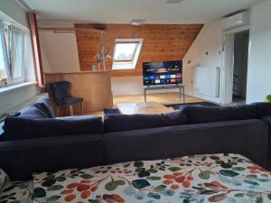a living room with a couch and a flat screen tv at Apartment 3 floor in Vratimov
