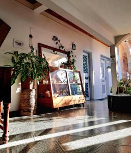 a room with a mirror and a table with plants at Le Paille en Queue in Saint-Louis +55 photos