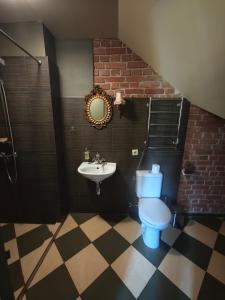 a bathroom with a toilet and a sink at Akmenių Dvaras in Akmeniai