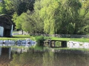 a bridge over a river next to a house at Sternberg Landhof in Sternberg +74 photos