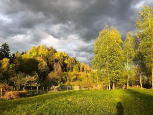 a field with a fence and trees in the background at Sternberg Landhof in Sternberg