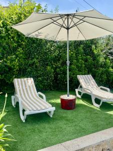 two chairs and an umbrella on the grass at Paraiso do Rio Casa T1 in Mondim de Basto +3 photos