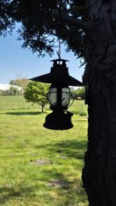 a bird feeder is hanging from a tree at Haus Tausendschön in Torgelow