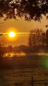 a sunset with the sun rising over a field at Haus Tausendschön in Torgelow +17 photos
