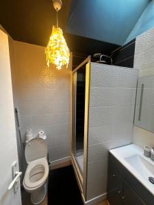 a bathroom with a shower and a toilet and a chandelier at Palma Verde - centre ville - wifi in Niort