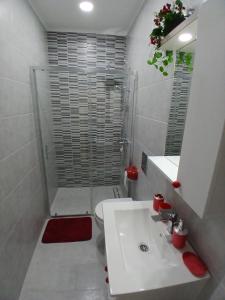 a bathroom with a white sink and a shower at Studio D lux Vida in Apatin