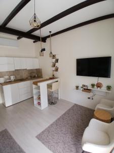 a kitchen and living room with a tv on the wall at Studio D lux Vida in Apatin