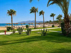 a park with palm trees and a beach with the ocean at Shams Prestige Abu Soma (Adults Only) in Hurghada