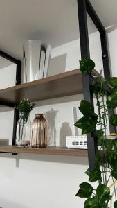 a shelf with vases and plants on it at Apartamento Completo No Centro de Taboão da Serra in Taboão da Serra