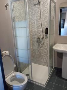 a bathroom with a shower with a toilet and a sink at Meda`s House in Meda