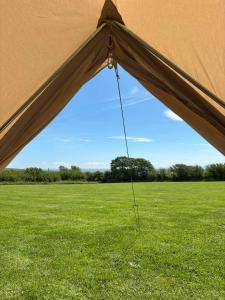 a view from the inside of a tent in a field at Cornwalls Glamping Tent in Delabole