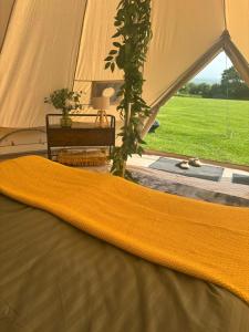 a tent with a yellow blanket on top of it at Cornwalls Glamping Tent in Delabole +5 photos