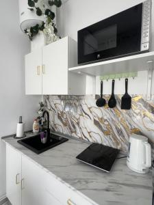 a kitchen with a counter top with a microwave at Studio Factory 22 in Braşov