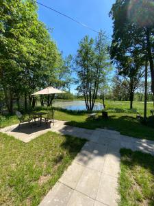 a picnic table with an umbrella next to a lake at Naturerlebnis-Schlafcontainer in Leutershausen