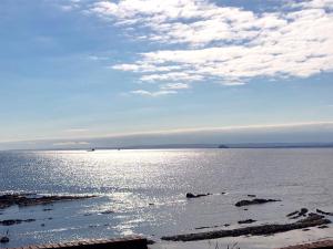 a view of a large body of water at Fisher Gallery in Pittenweem
