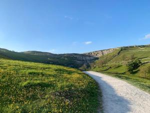 a gravel road in a field with flowers on a hill at Pletts Barn in Grassington