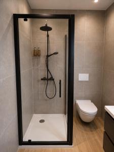 a shower in a bathroom with a toilet at Residentie Sweetnest met hotelservice à la carte - 3 dubbel kamers in Knokke-Heist +5 photos