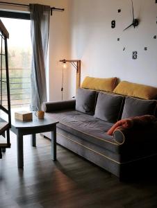 eine Couch in einem Wohnzimmer mit Fenster in der Unterkunft HUUT in Zlatibor