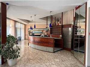 a kitchen with a counter and a potted plant at Hotel Margherita in Sottomarina