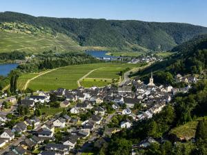 an aerial view of a small village in the mountains at Ferienwohnung 'Moseltraum' in Ensch