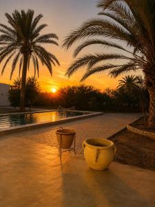 a large pot sitting next to a pool with a palm tree at Maison Ile d'Olive in Midoun +32 photos