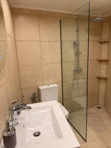 a bathroom with a shower and a sink and a toilet at Nature Nest in Samos