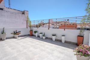 a row of potted plants on a white wall at Me Gusta Sucre Inn in Sucre