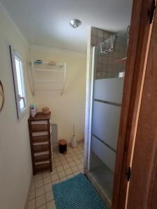 a bathroom with a shower with a glass door at Casa Doudou in Bédoin
