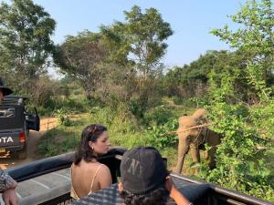a group of people in a truck looking at an elephant at Laughing Leopard Sigiriya in Sigiriya
