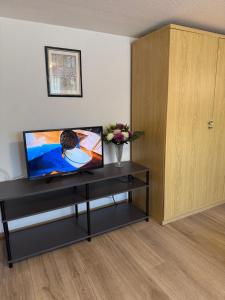 a living room with a tv and a table with flowers at Van Kim 2 - Souterrain Monteurwohnung in Emden
