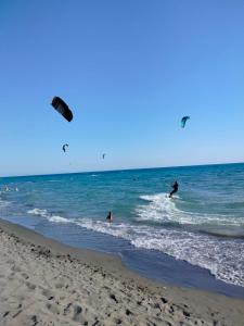 a group of people flying kites on the beach at Sabina Olive bungalow in Ulcinj